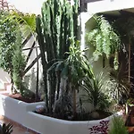 Apartment Aptos Monasterio De San Antonio 6 Icod De Los Vinos