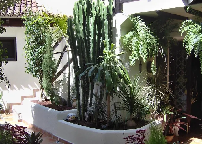 Apartamento Aptos Monasterio De San Antonio 6 Icod De Los Vinos