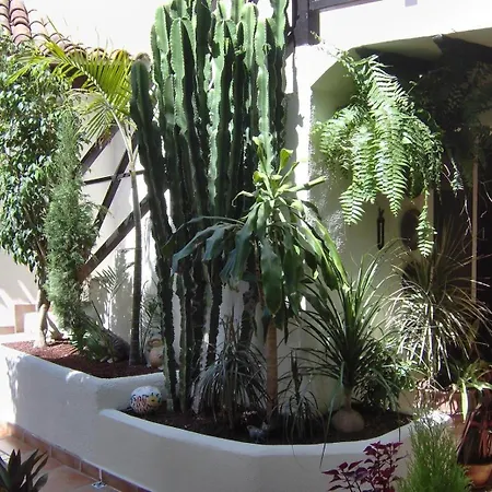 Apartmán Aptos Monasterio De San Antonio 6 *